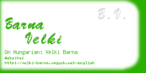 barna velki business card